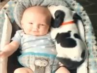 Baby and puppy