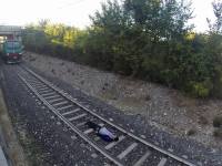 A boy with a lot of guts!